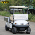 2 seater electric golf cart china mini buggy for sale club car golf buggy cart